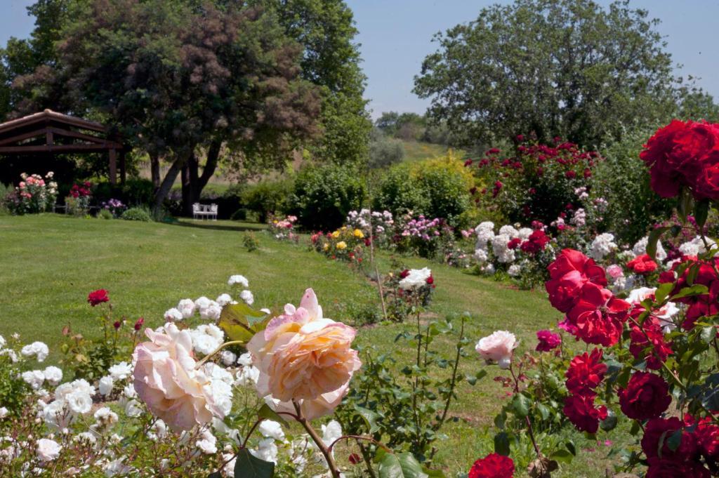Locanda Ilune Pitigliano Exterior photo