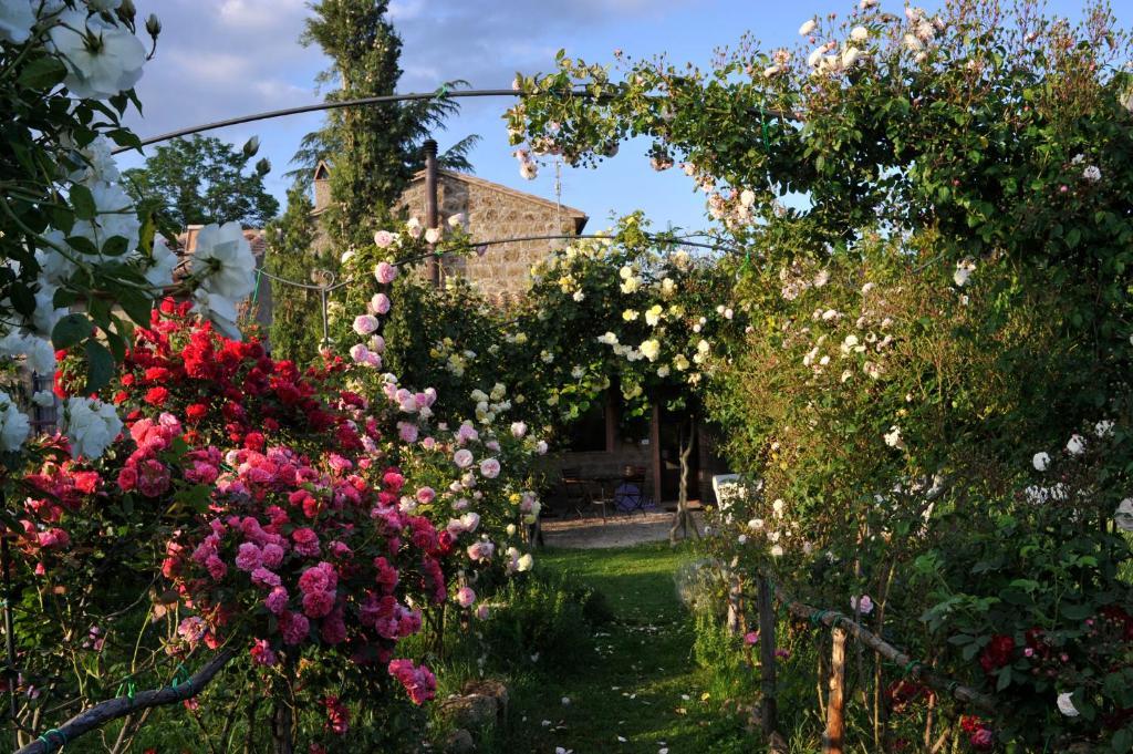 Locanda Ilune Pitigliano Exterior photo